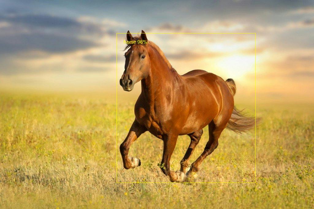 Pferd als Objekt im Bild erkannt