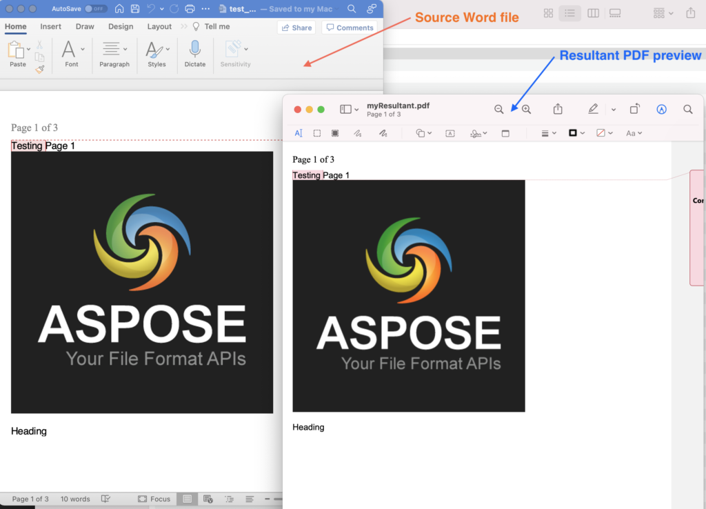 Vista previa de Word a PDF