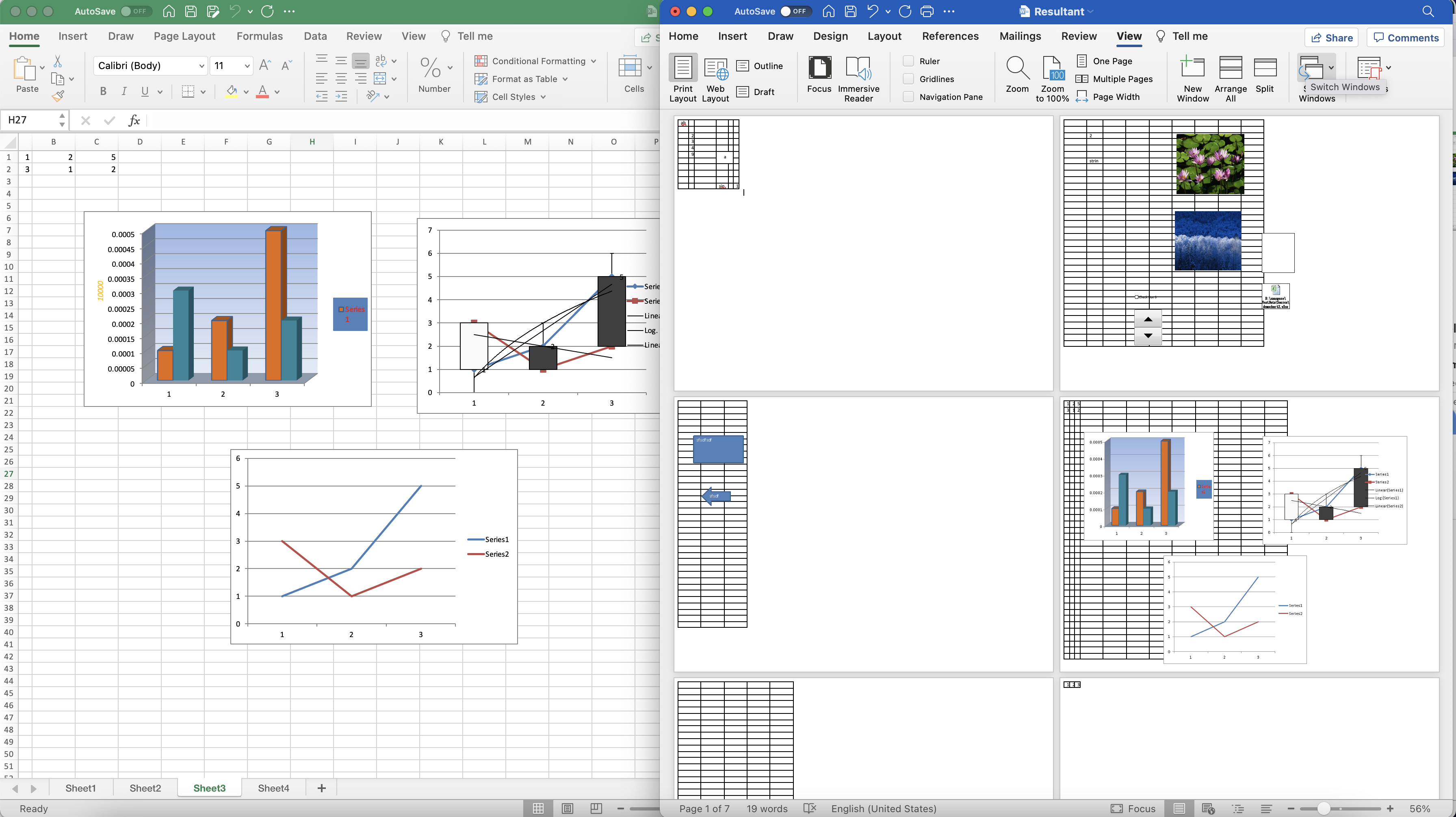 excel all'anteprima di Word