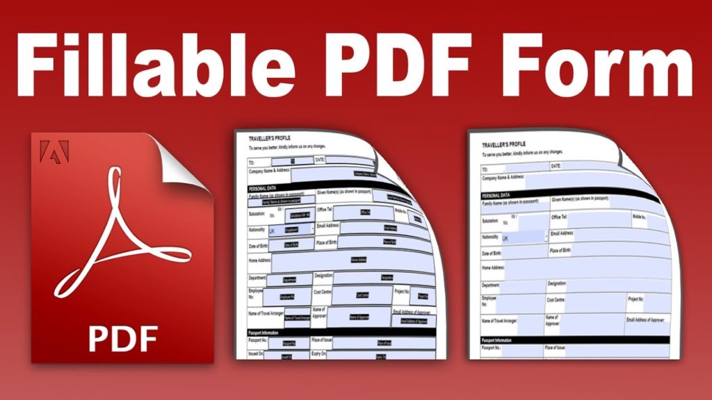 Fillable PDF form icon