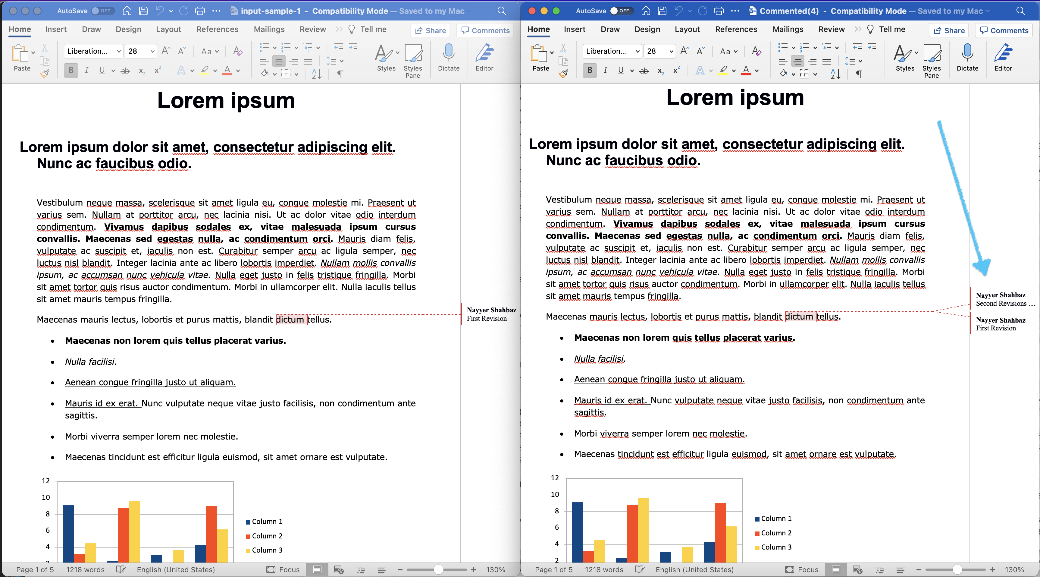 word document annotation preview
